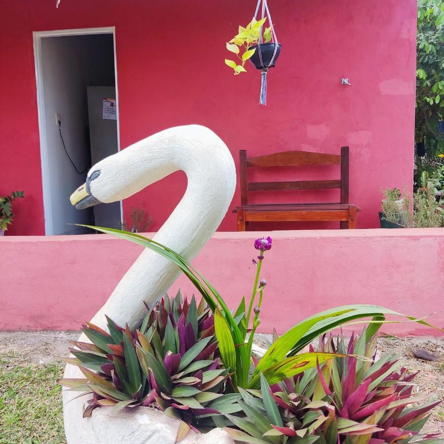Espaco Slow Living Flor Do Pantanal Piraputanga Kültér fotó
